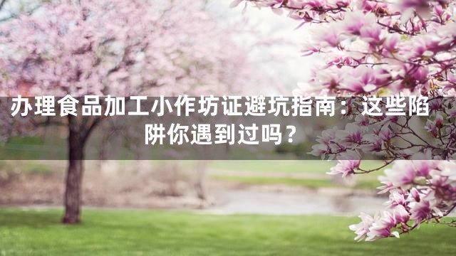 办理食品加工小作坊证避坑指南：这些陷阱你遇到过吗？