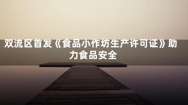 双流区首发《食品小作坊生产许可证》助力食品安全