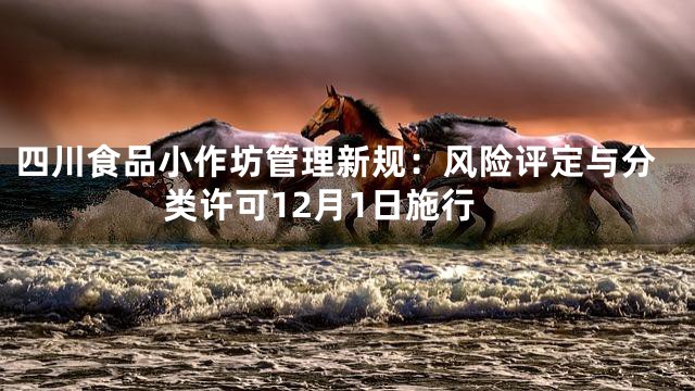 四川食品小作坊管理新规：风险评定与分类许可12月1日施行