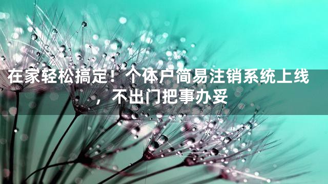 在家轻松搞定！个体户简易注销系统上线，不出门把事办妥
