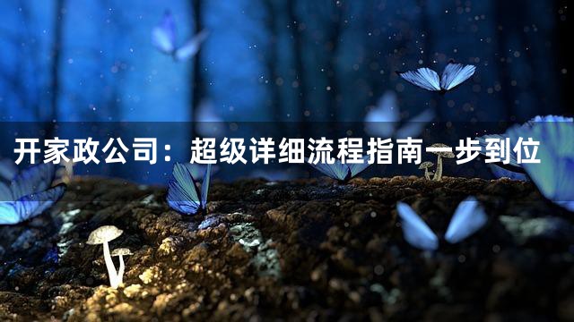 开家政公司：超级详细流程指南一步到位