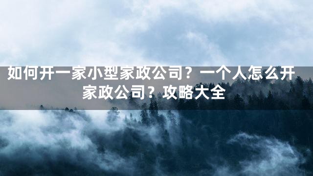 如何开一家小型家政公司？一个人怎么开家政公司？攻略大全