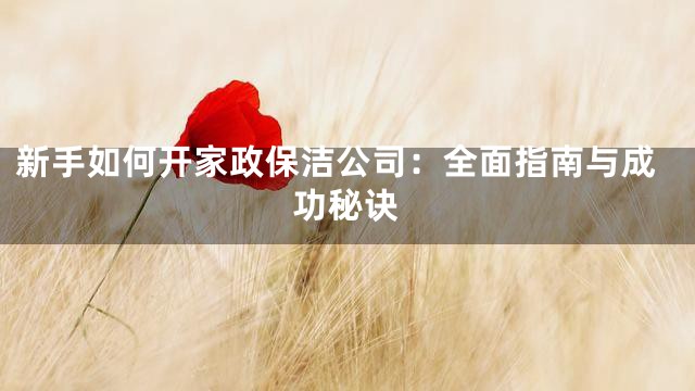 新手如何开家政保洁公司：全面指南与成功秘诀