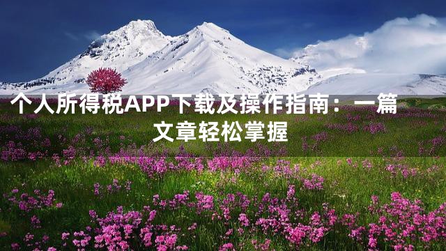 个人所得税APP下载及操作指南：一篇文章轻松掌握