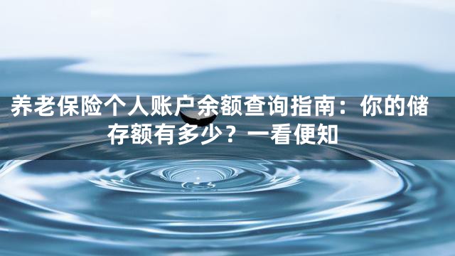 养老保险个人账户余额查询指南：你的储存额有多少？一看便知