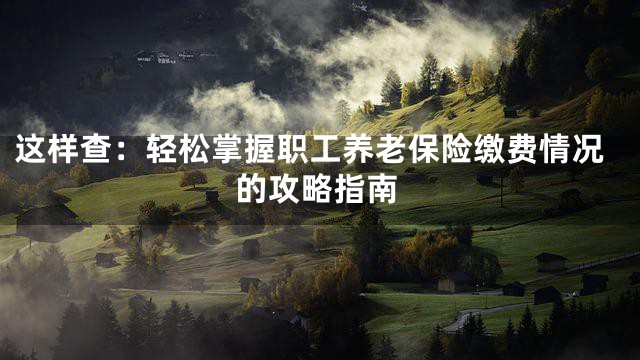 这样查：轻松掌握职工养老保险缴费情况的攻略指南