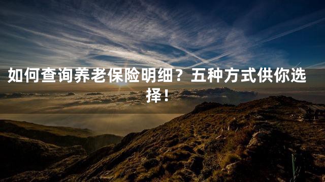 如何查询养老保险明细？五种方式供你选择！