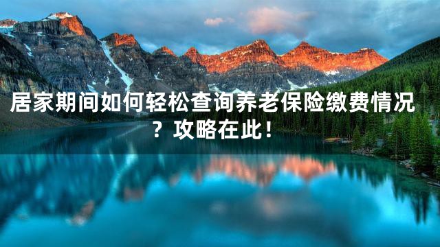 居家期间如何轻松查询养老保险缴费情况？攻略在此！