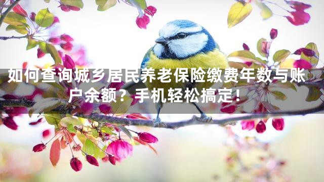 如何查询城乡居民养老保险缴费年数与账户余额？手机轻松搞定！