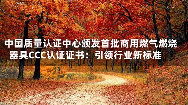 中国质量认证中心颁发首批商用燃气燃烧器具CCC认证证书：引领行业新标准
