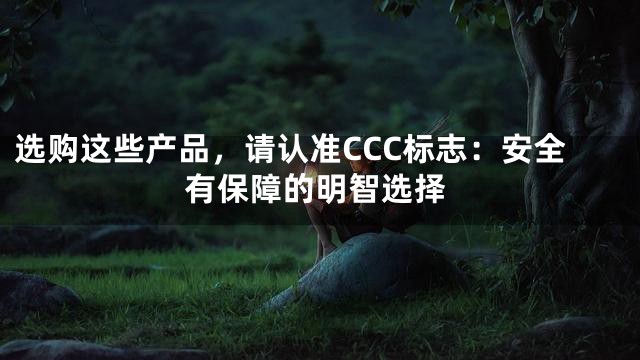 选购这些产品，请认准CCC标志：安全有保障的明智选择