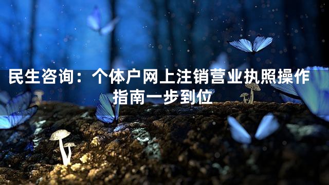 民生咨询：个体户网上注销营业执照操作指南一步到位