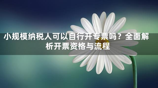 小规模纳税人可以自行开专票吗？全面解析开票资格与流程