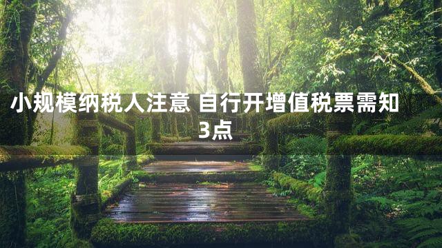 小规模纳税人注意 自行开增值税票需知3点