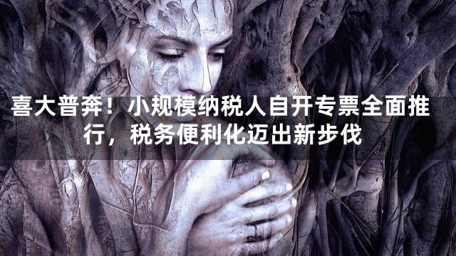 喜大普奔！小规模纳税人自开专票全面推行，税务便利化迈出新步伐