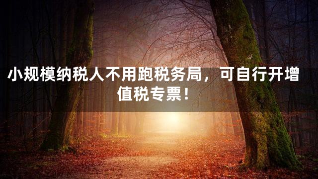 小规模纳税人不用跑税务局，可自行开增值税专票！