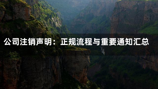 公司注销声明：正规流程与重要通知汇总