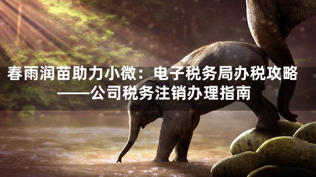 春雨润苗助力小微：电子税务局办税攻略——公司税务注销办理指南