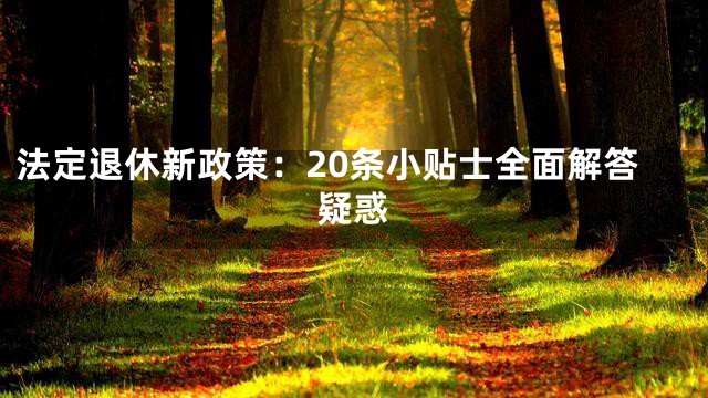 法定退休新政策：20条小贴士全面解答疑惑