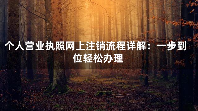 个人营业执照网上注销流程详解：一步到位轻松办理