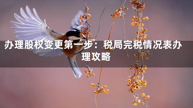 办理股权变更第一步：税局完税情况表办理攻略