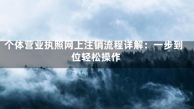 个体营业执照网上注销流程详解：一步到位轻松操作