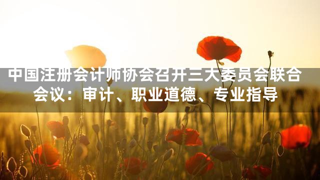 中国注册会计师协会召开三大委员会联合会议：审计、职业道德、专业指导