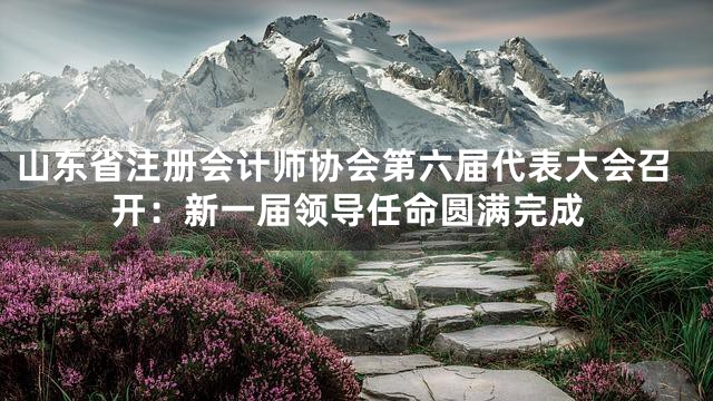 山东省注册会计师协会第六届代表大会召开：新一届领导任命圆满完成