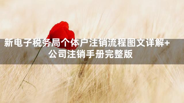 新电子税务局个体户注销流程图文详解+公司注销手册完整版