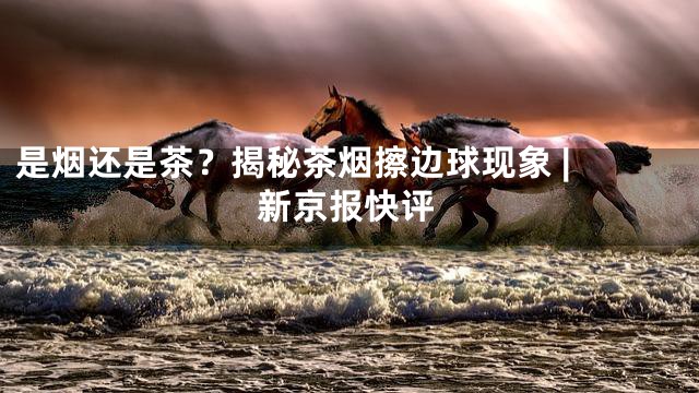 是烟还是茶？揭秘茶烟擦边球现象 | 新京报快评