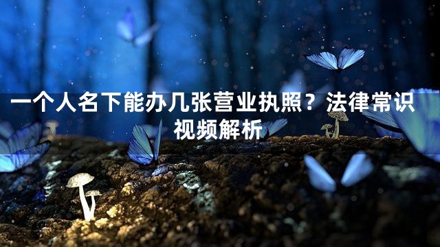 一个人名下能办几张营业执照？法律常识视频解析