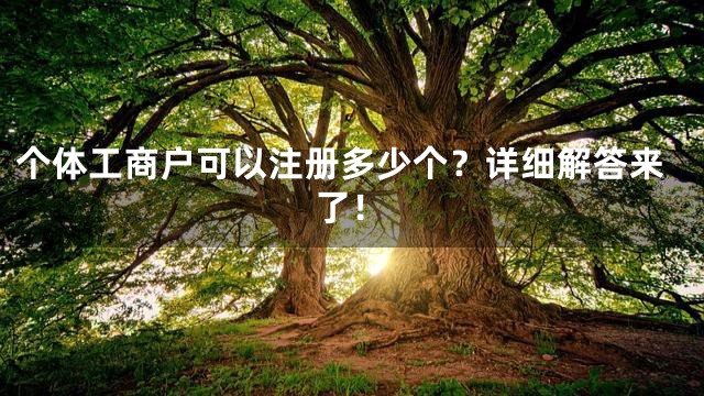 个体工商户可以注册多少个？详细解答来了！