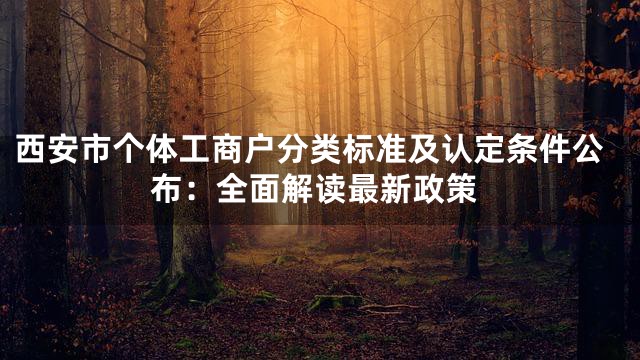 西安市个体工商户分类标准及认定条件公布：全面解读最新政策