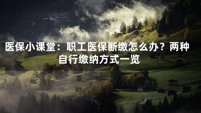 医保小课堂：职工医保断缴怎么办？两种自行缴纳方式一览