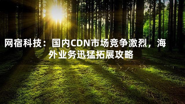 网宿科技：国内CDN市场竞争激烈，海外业务迅猛拓展攻略