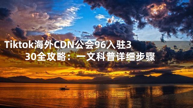 Tiktok海外CDN公会96入驻330全攻略：一文科普详细步骤