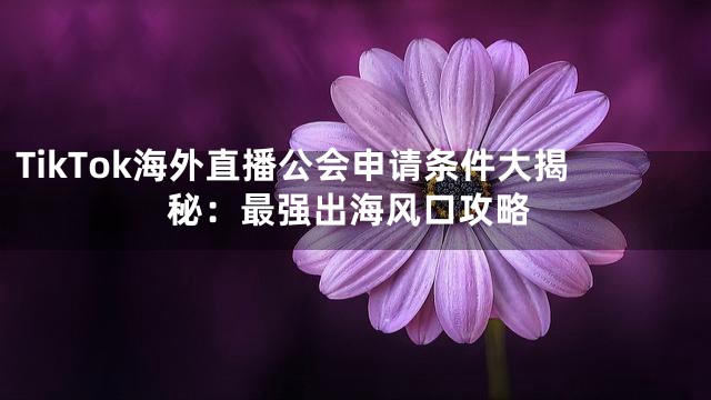 TikTok海外直播公会申请条件大揭秘：最强出海风口攻略