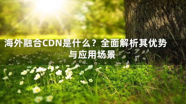 海外融合CDN是什么？全面解析其优势与应用场景