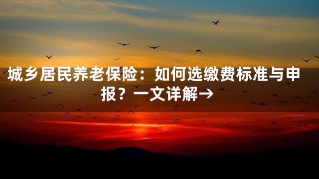 城乡居民养老保险：如何选缴费标准与申报？一文详解→
