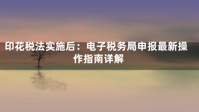 印花税法实施后：电子税务局申报最新操作指南详解