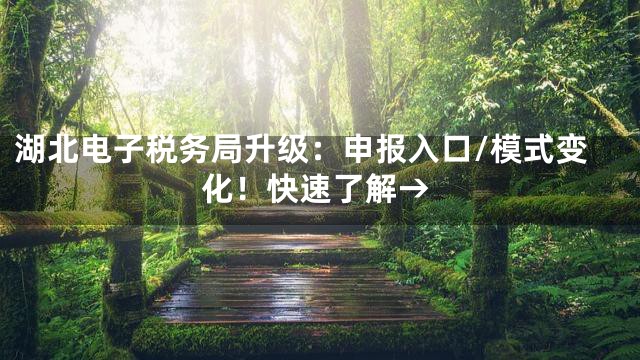 湖北电子税务局升级：申报入口/模式变化！快速了解→
