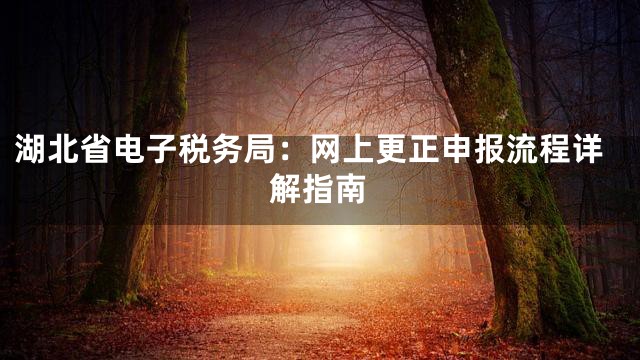 湖北省电子税务局：网上更正申报流程详解指南