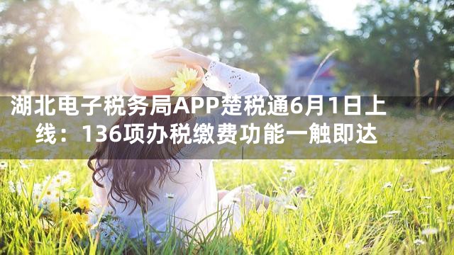 湖北电子税务局APP楚税通6月1日上线：136项办税缴费功能一触即达