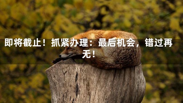 即将截止！抓紧办理：最后机会，错过再无！