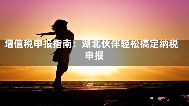 增值税申报指南：湖北伙伴轻松搞定纳税申报