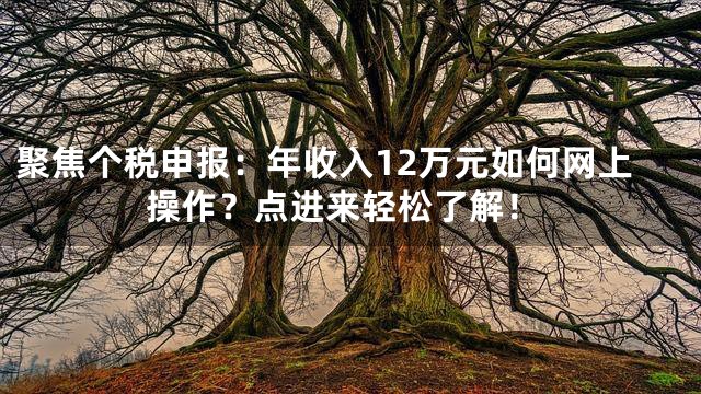 聚焦个税申报：年收入12万元如何网上操作？点进来轻松了解！
