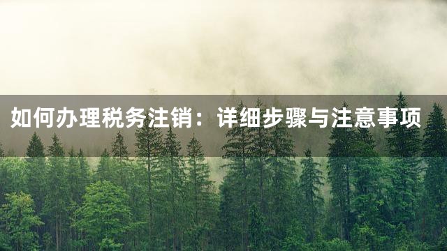 如何办理税务注销：详细步骤与注意事项