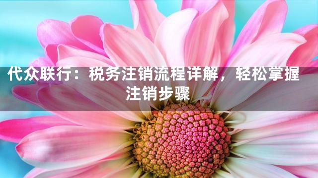 代众联行：税务注销流程详解，轻松掌握注销步骤