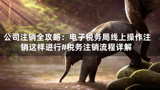 公司注销全攻略：电子税务局线上操作注销这样进行#税务注销流程详解