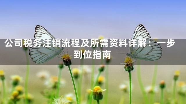 公司税务注销流程及所需资料详解：一步到位指南